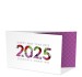 N240251